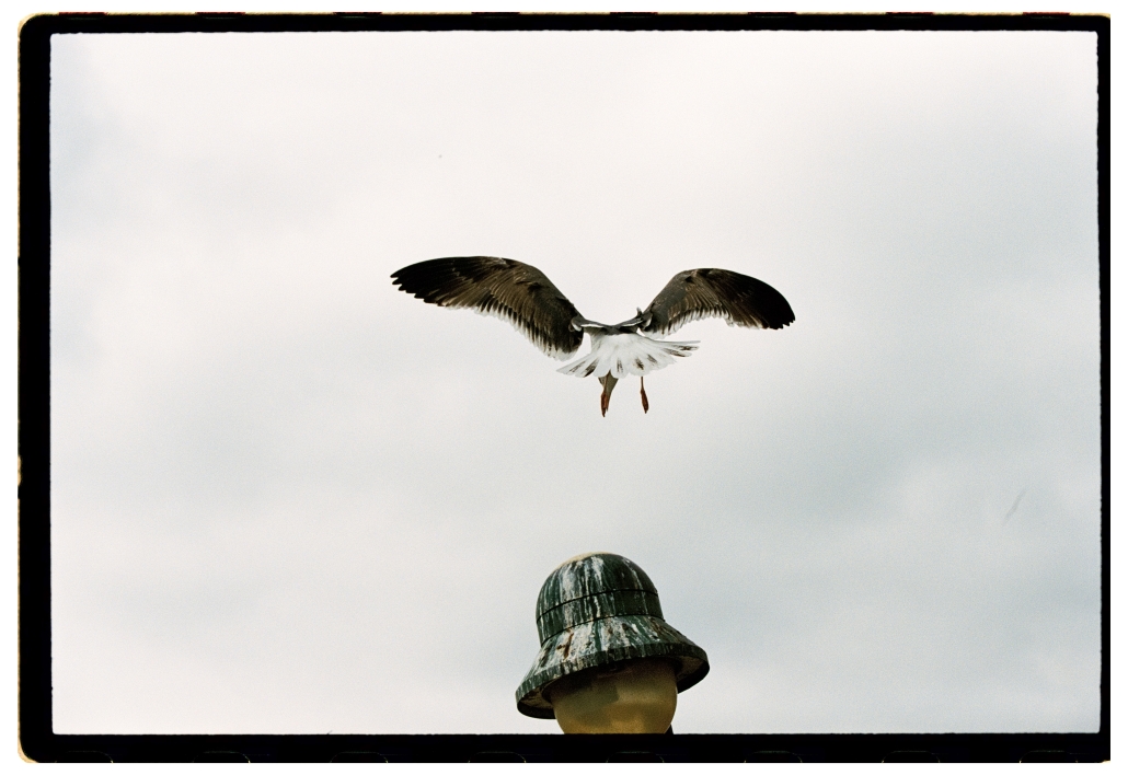 CanonEOS33-KodakPortra400-CarmencitaFilmLab-OscarRomeroBaya