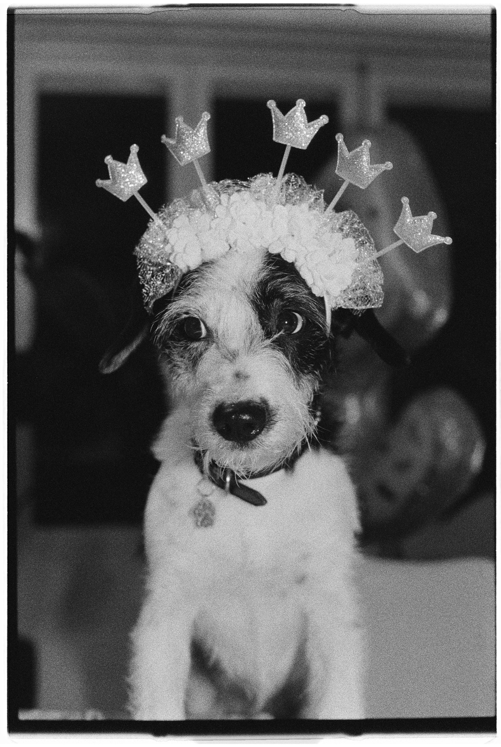 CanonEOSA2-IlfordDelta3200-CarmencitaFilmLab-PacoCruz