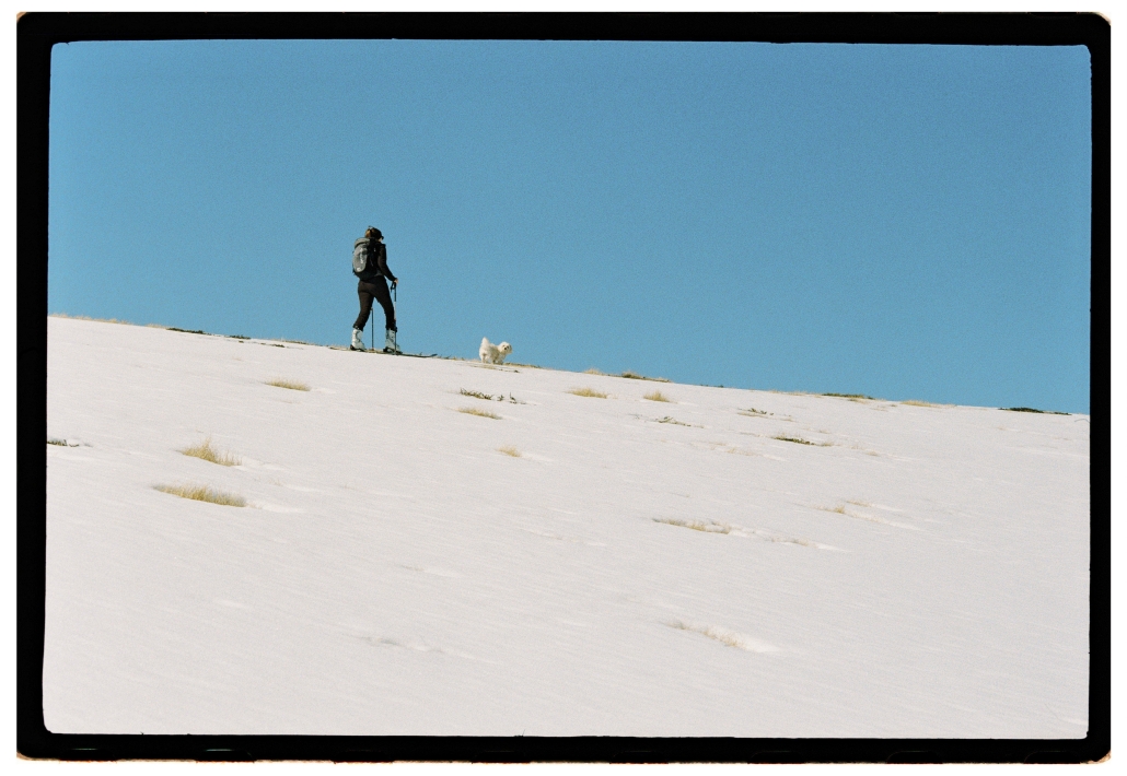 LeicaM4-KodakGold200-CarmencitaFilmLab-IsabelMorosHuerto