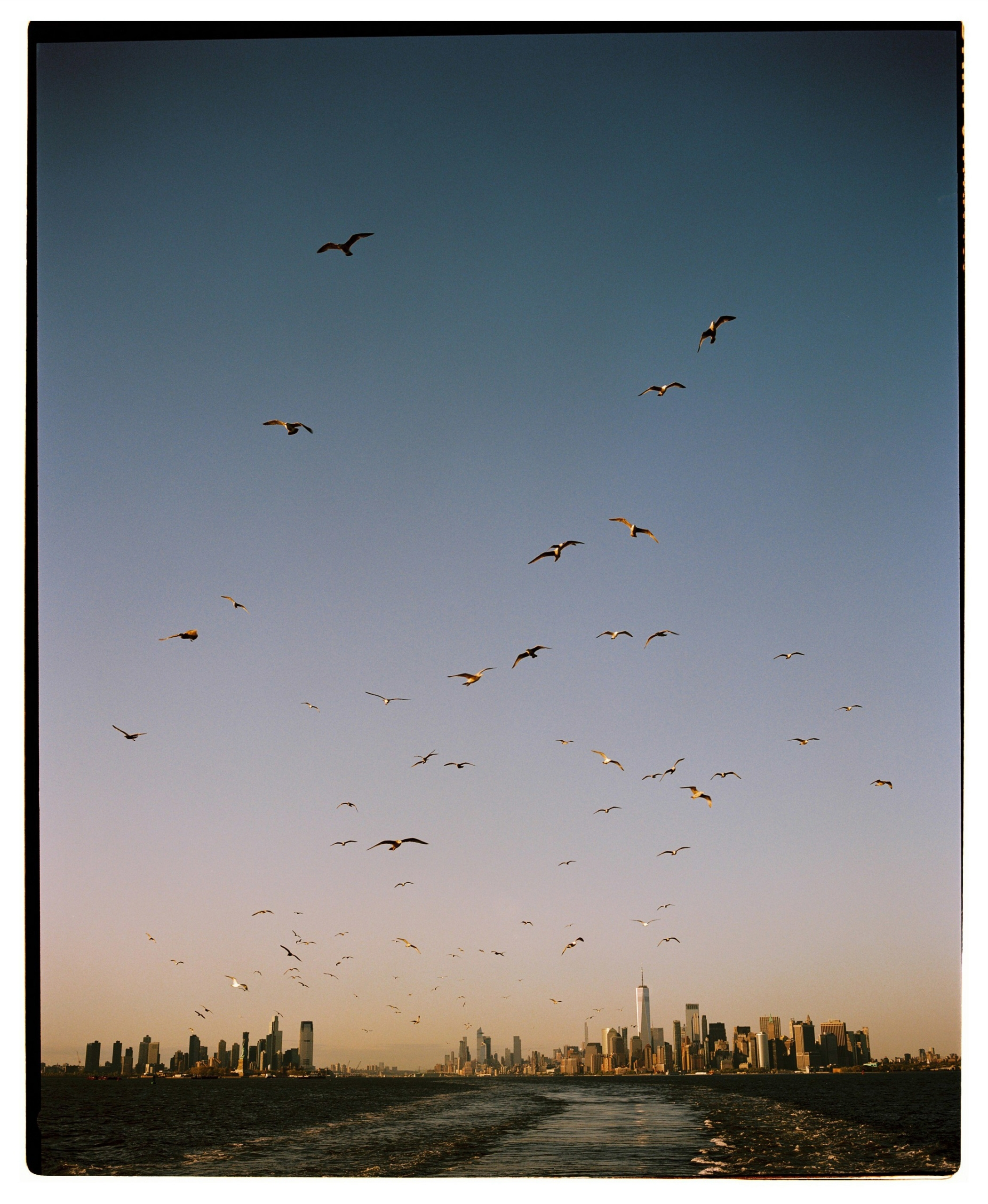 Mamiya7-KodakPortra160-CarmencitaFilmLab-EduardoOropeza