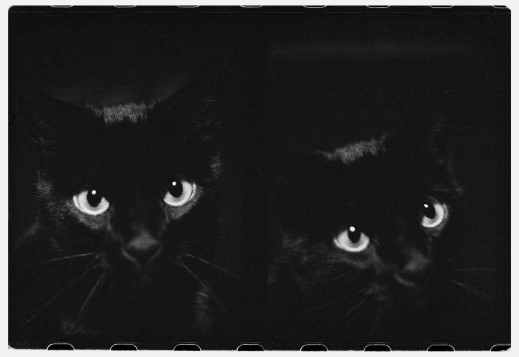 OlympusPenFT-IlfordDelta400-CarmencitaFilmLab-CesarArriguri