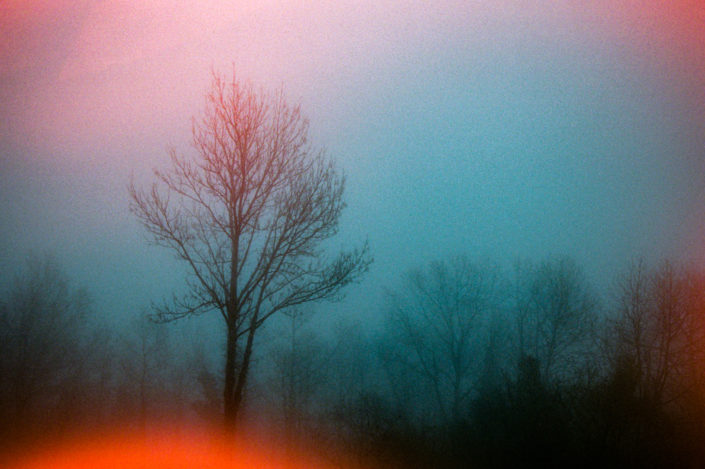 Sarah Blard Few Frames Carmencita Film Lab-14