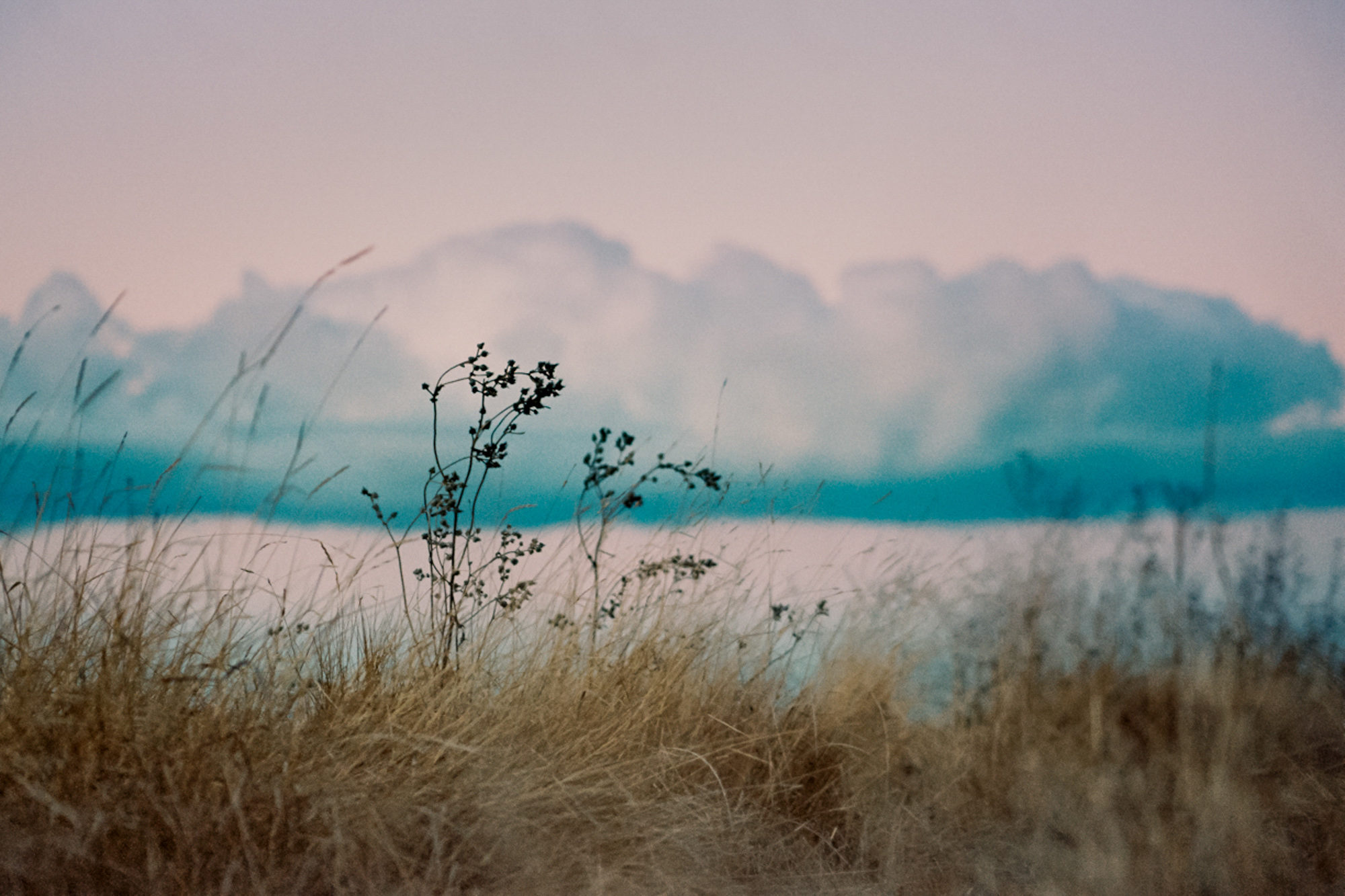Sarah Blard Few Frames Carmencita Film Lab-18