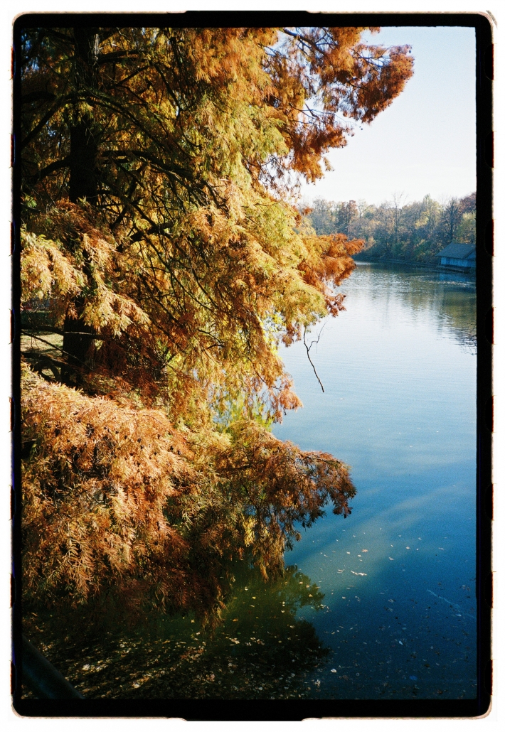 YashicaT4-KodakUltramax400-CarmencitaFilmLab-JorgeParejo